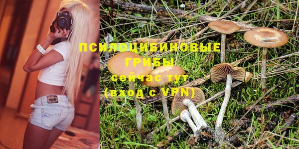 крисы Протвино