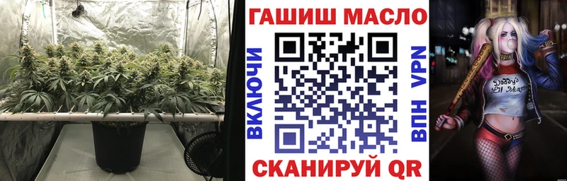 даркнет сайт  Шахунья  гидра tor  ТГК концентрат 
